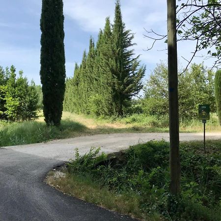 Le Jardin D'Erables St Remy 7 Ha Piscine/Clim Villa Paluds de Noves ภายนอก รูปภาพ