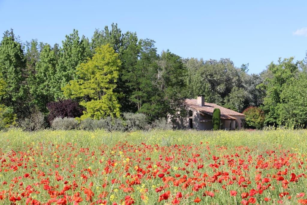 Le Jardin D'Erables St Remy 7 Ha Piscine/Clim Villa Paluds de Noves ภายนอก รูปภาพ